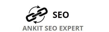 Ankit SEO Expert – Freelance SEO Expert in Delhi